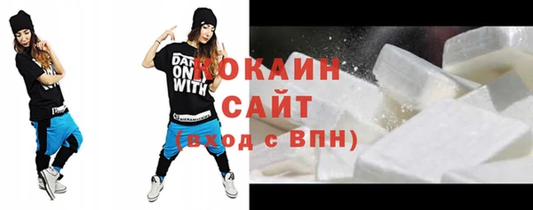 прущие грибы Вязьма