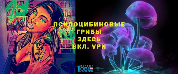 прущие грибы Вязьма