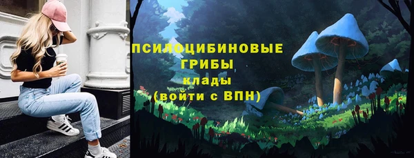 PSILOCYBIN Сосновоборск