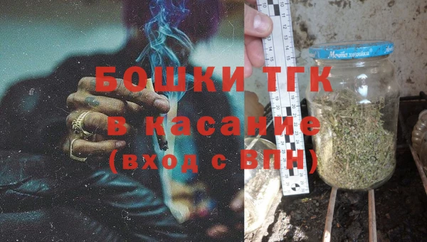 прущие грибы Вязьма