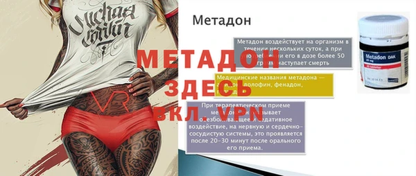 прущие грибы Вязьма