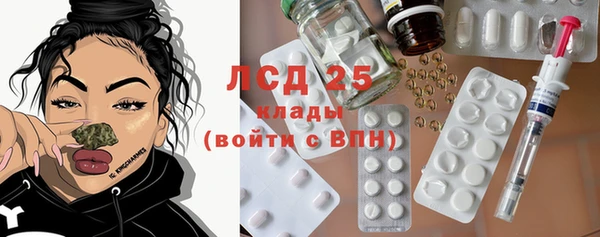 прущие грибы Вязьма